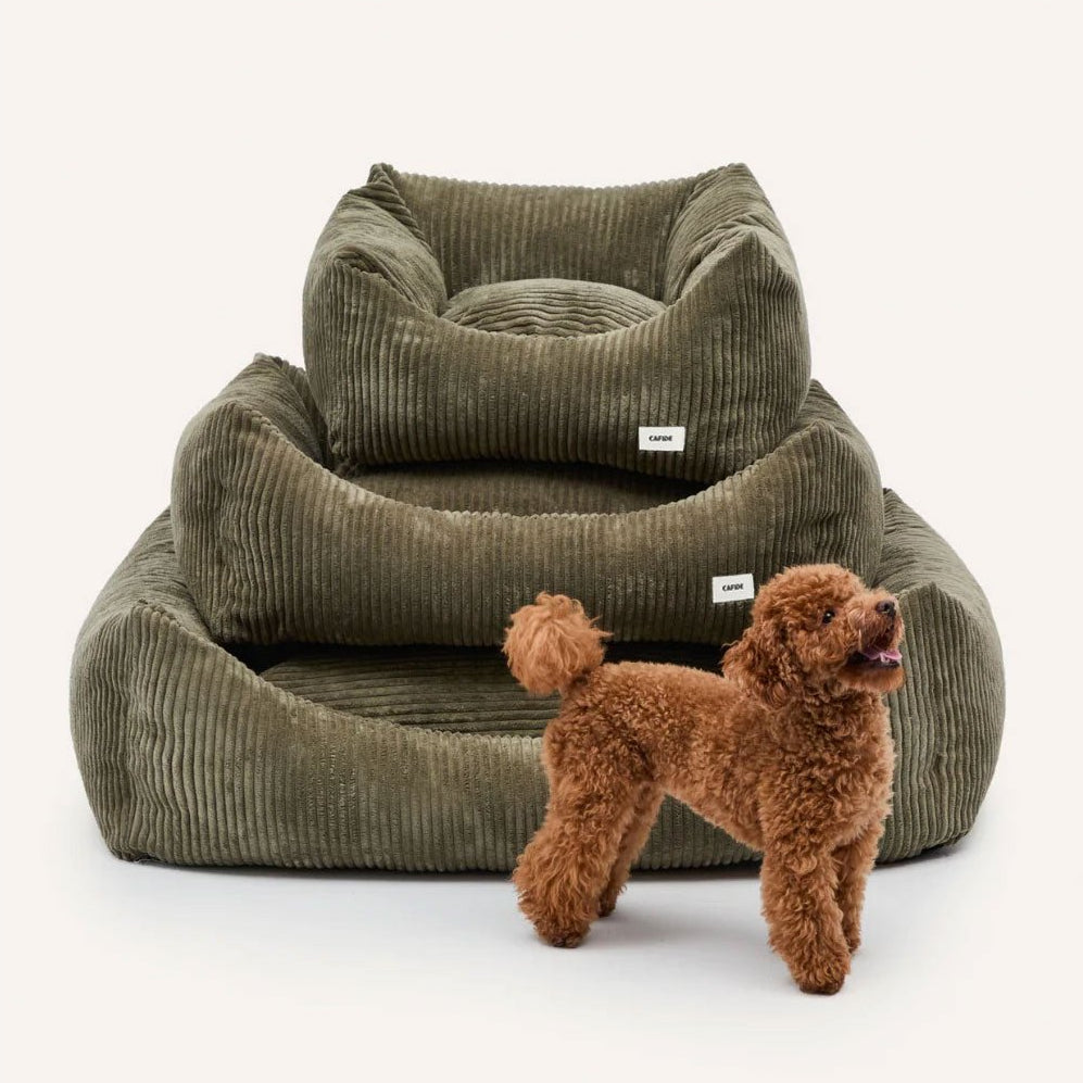 Corduroy comfortbed met verhoogde rand Groen
