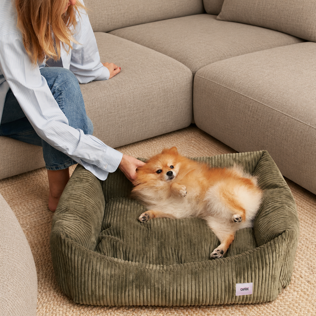 Corduroy comfortbed met verhoogde rand Groen