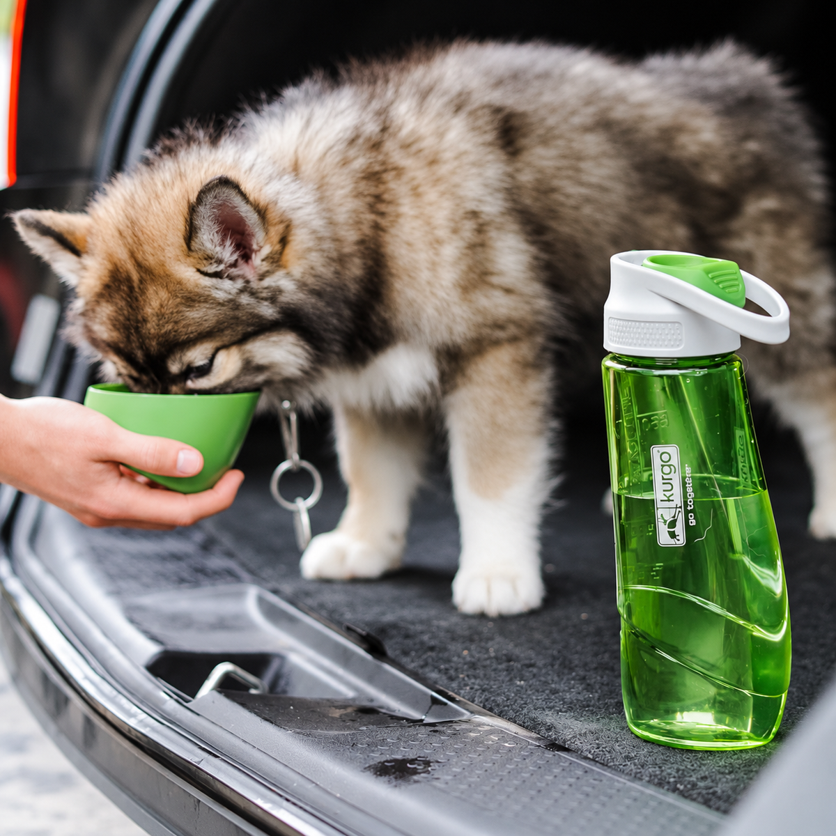 Kurgo H2O drinkfles met drinkbakje – groen