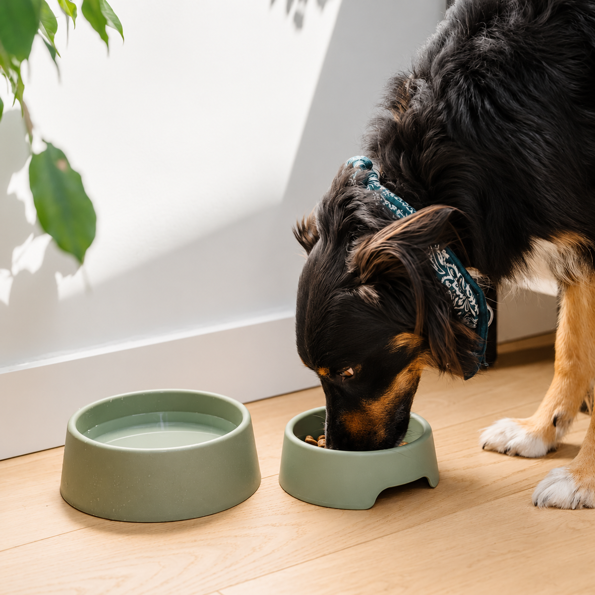Steady Dog Bowl – stabiele voerbak in groen