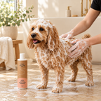 Purus Puppyshampoo – milde verzorging voor de gevoelige huid | 250 ml