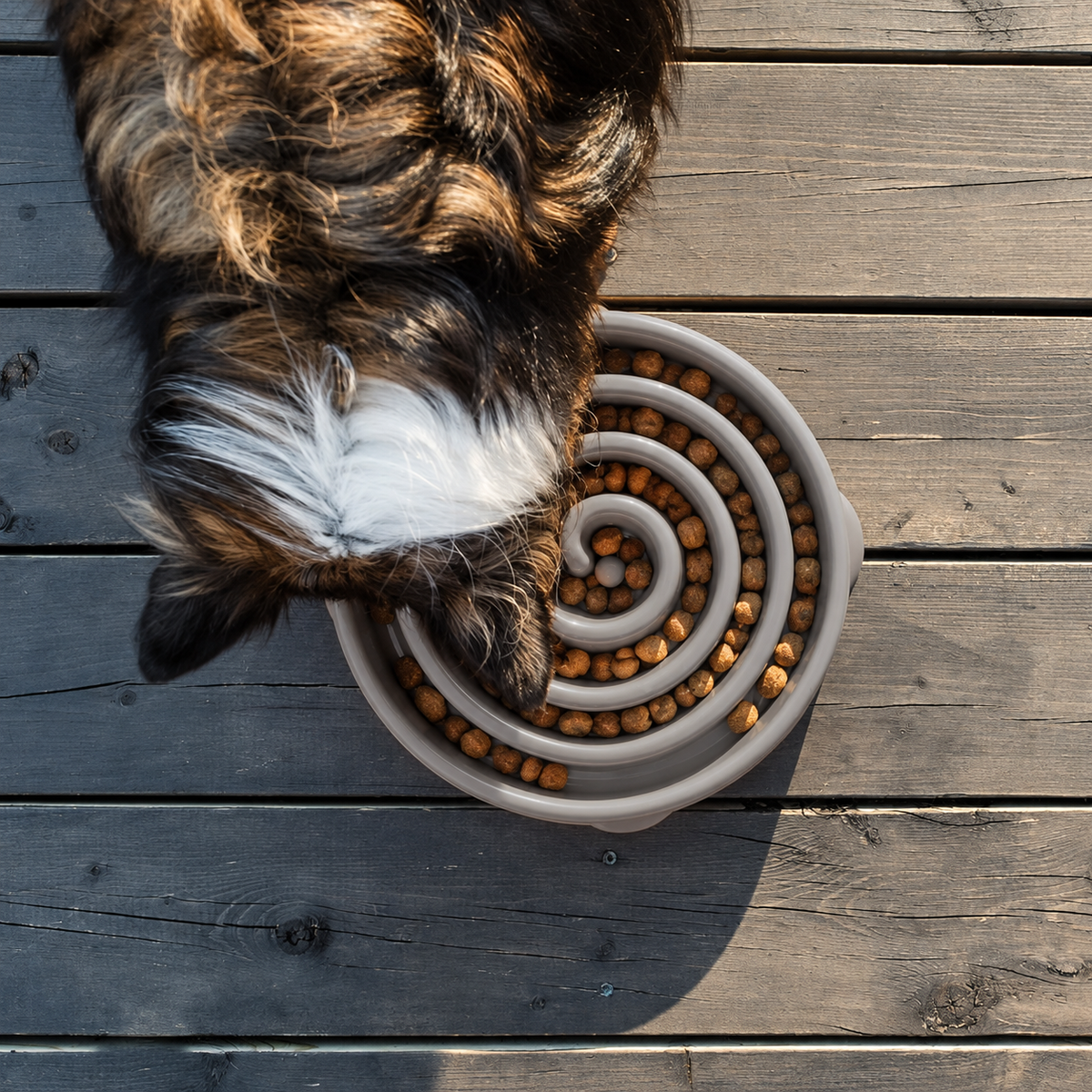 Slowfeeder – rustiger eten & meer uitdaging